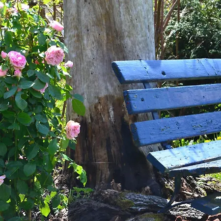 فندق بلوم ليسالب 3*