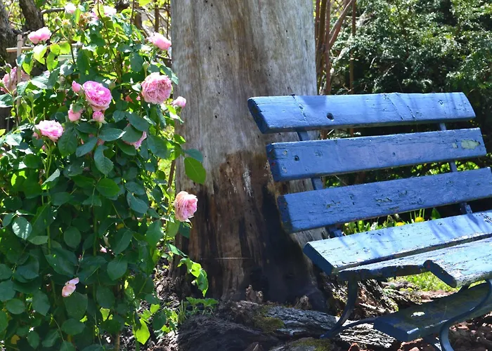 Hotel Bluemlisalp 3*